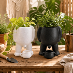 Mini garden plant pot