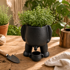 Mini garden plant pot
