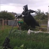 Halloween Decoration - Scared Crow