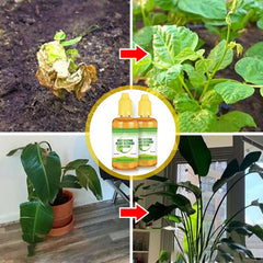 Fast Rooting Plant Nutrient SolutionSummer Specials 50% OFF