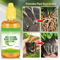 Fast Rooting Plant Nutrient SolutionSummer Specials 50% OFF