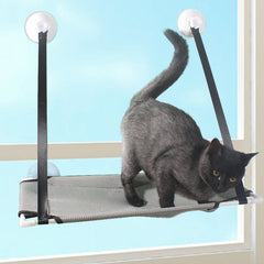 Cat window perching seat, suction cup cat window hammock