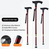Multifunctional smart radio walking stick