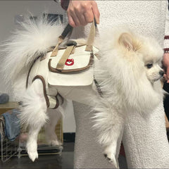 Portable, Breathable Crossbody Pet Carrier