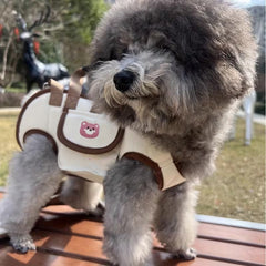 Portable, Breathable Crossbody Pet Carrier