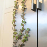 Ivy Fridge Magnet Magnetic Leaf Clip