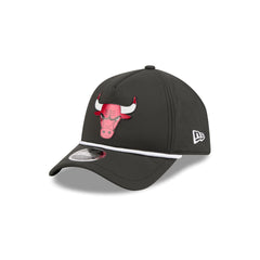 Chicago Bulls Performance 9FORTY APEX Snapback Hat