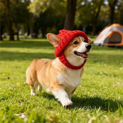 Last Day: BUY 2 GET 1 FREE - Red Wool Knit Dog Beanie with Ear Flaps – Warm Winter Hat
