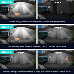 Solar-powered outdoor lights