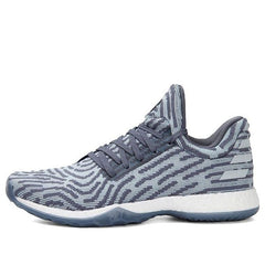 adidas Harden Vol. 1 LS Primeknit 'Raw Steel' AC8408