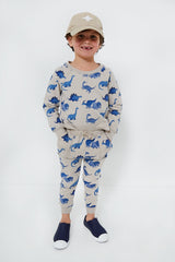 French Terry Dinos Raglan Sweatshirt and Jogger Set
