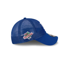 Los Angeles Dodgers Royal Blue Mesh 9FORTY Snapback Hat
