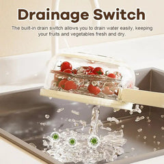 2 in 1 Drainer