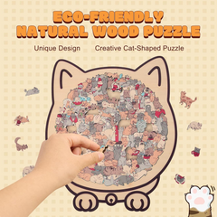 Colorful Irregularly Shaped Wooden Puzzle