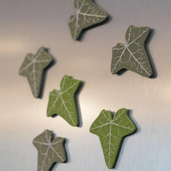 Ivy Fridge Magnet Magnetic Leaf Clip