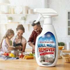 Wall mold remover