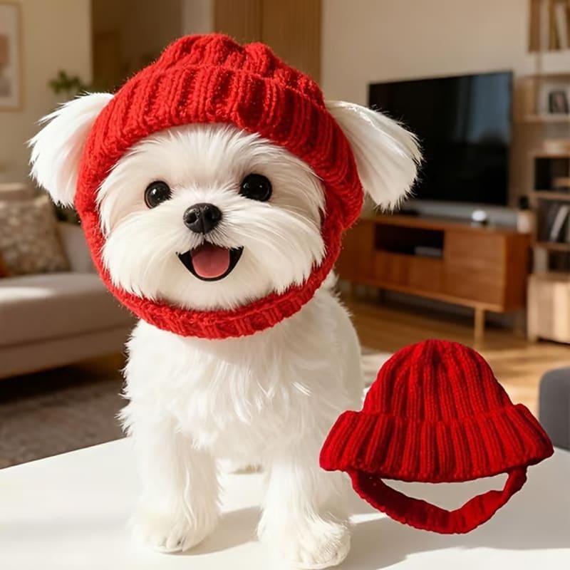 Last Day: BUY 2 GET 1 FREE - Red Wool Knit Dog Beanie with Ear Flaps – Warm Winter Hat