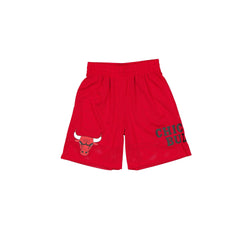 Chicago Bulls Summer Shorts
