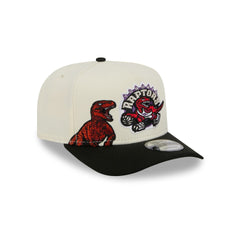 Toronto Raptors 1995-2007 Hardwood Classics Chrome White 9FIFTY A-Frame Snapback Hat