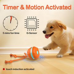 Interactive Smart Rolling Pet Ball