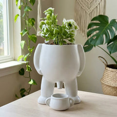 Mini garden plant pot