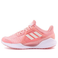 (WMNS) adidas Climacool Vent Summer.Rdy EM 'Glory Pink' EG1119