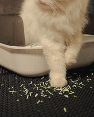 CAT LITTER MAT